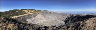 Beyond a Focus on Fuel Reduction in the WUI: The Need for Regional Wildfire Mitigation to Address Multiple Risks
